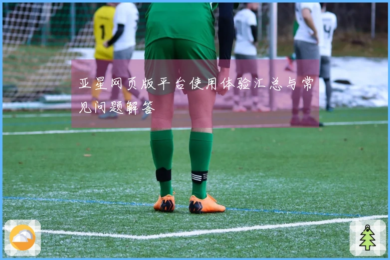 亚星网页版平台使用体验汇总与常见问题解答