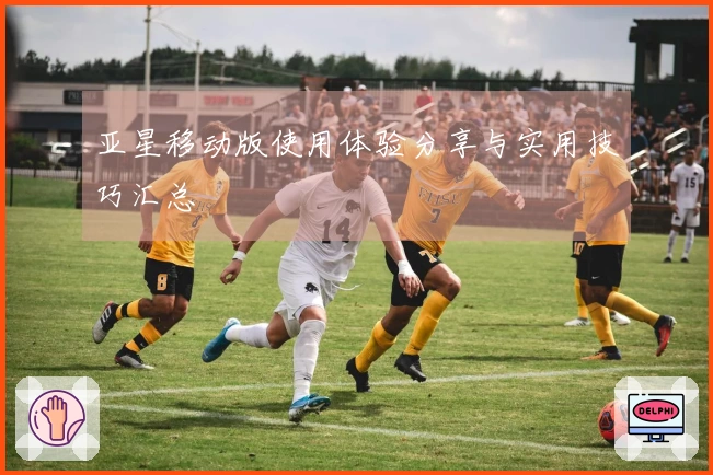 亚星移动版使用体验分享与实用技巧汇总