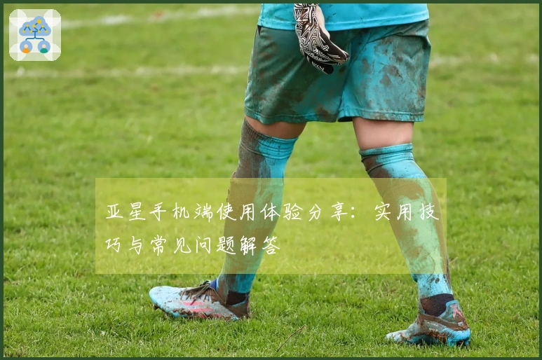 亚星手机端使用体验分享：实用技巧与常见问题解答