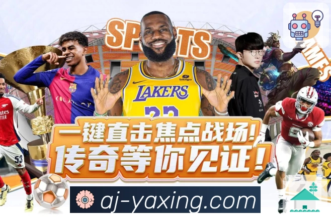 奖项证书